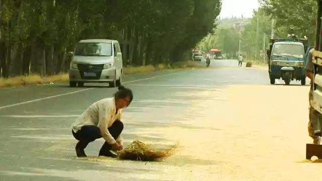 大河报汽车网