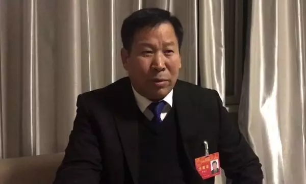 大河报汽车网