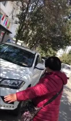 大河报汽车网