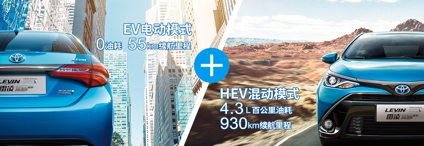 大河报汽车网