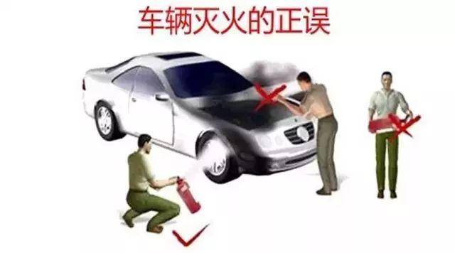 大河报汽车网
