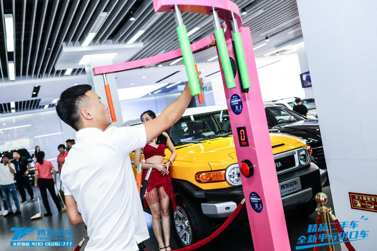 大河报汽车网