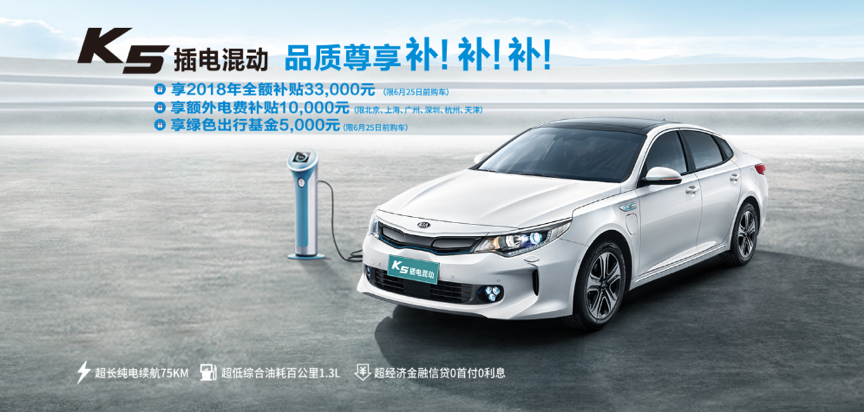 大河报汽车网