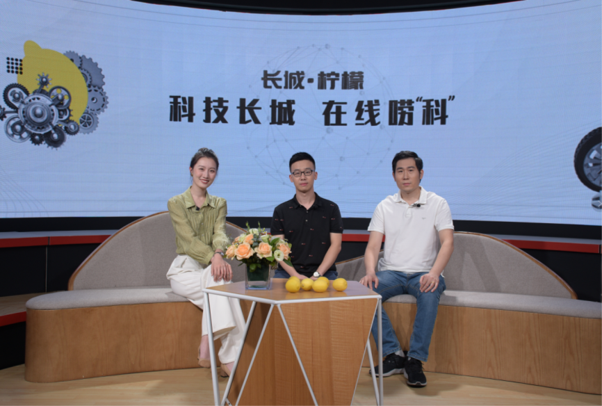 大河报汽车网