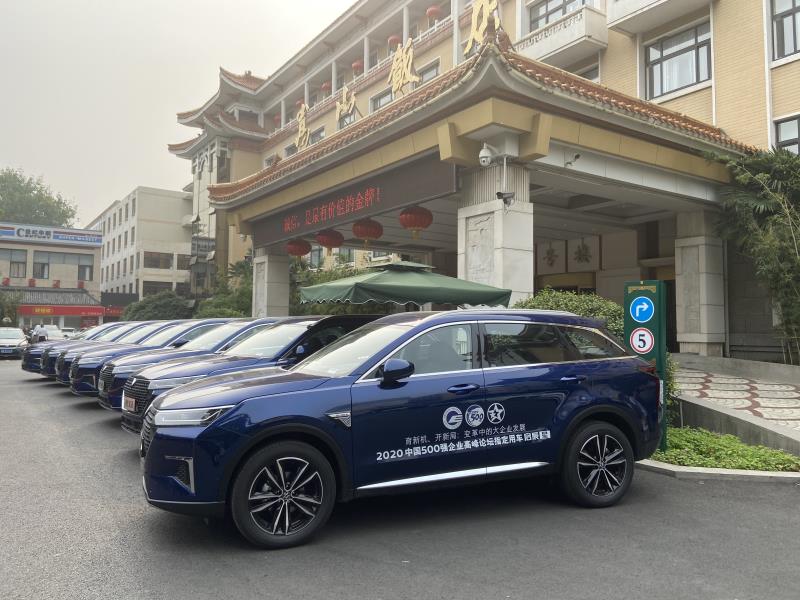 大河报汽车网