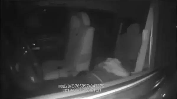 大河报汽车网