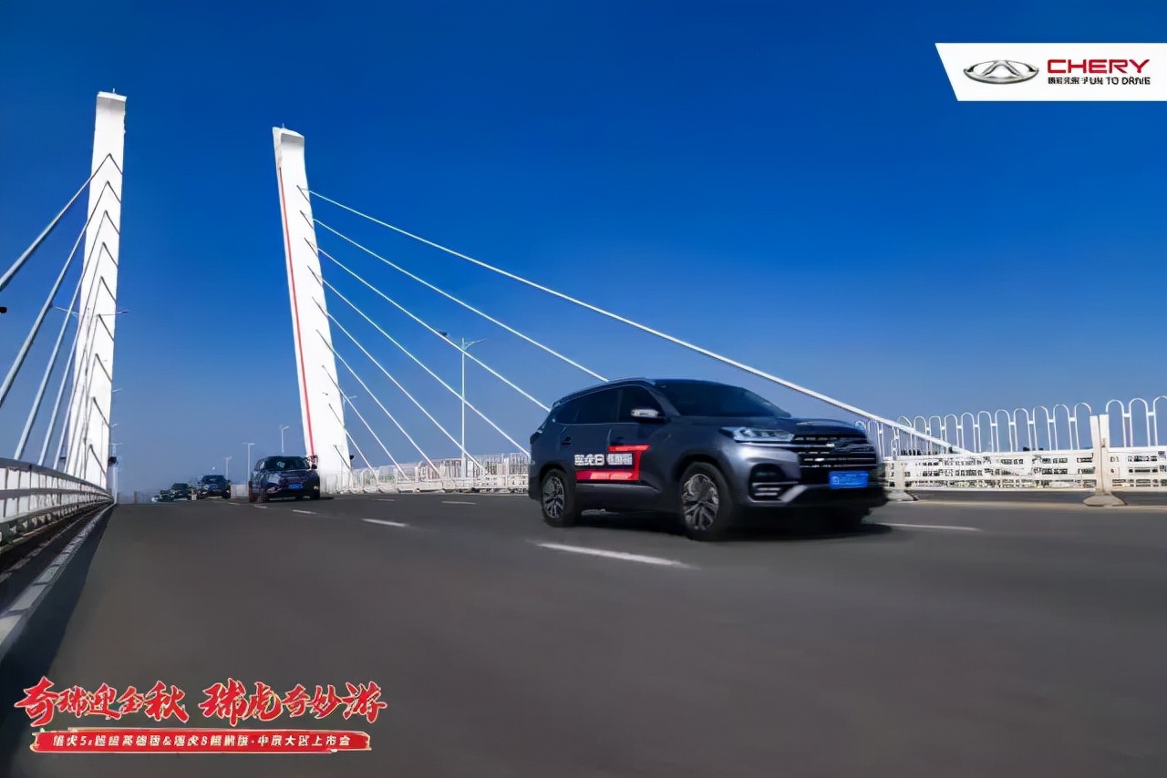 大河报汽车网